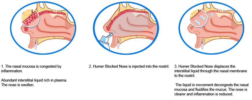 schema_osmose_humer_nez_bouche EN